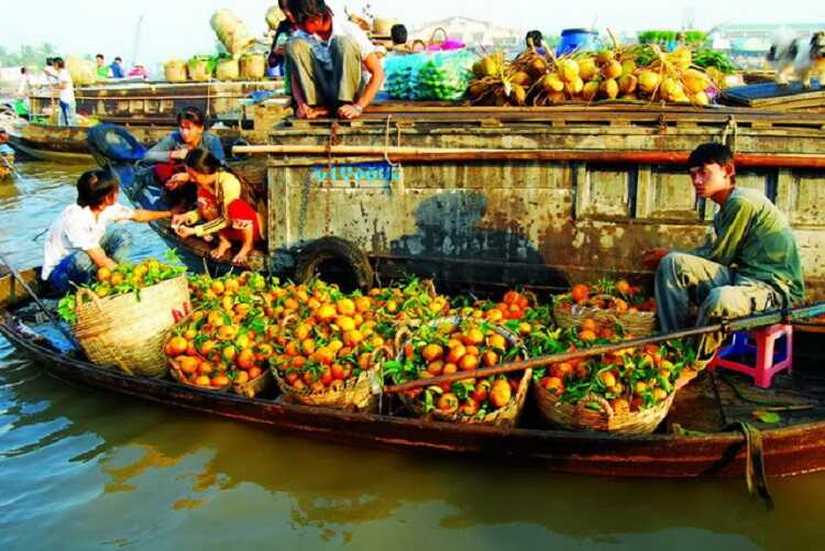 Chợ nổi Cà Mau, điểm du lịch mang đậm đặc trưng của miền sông nước