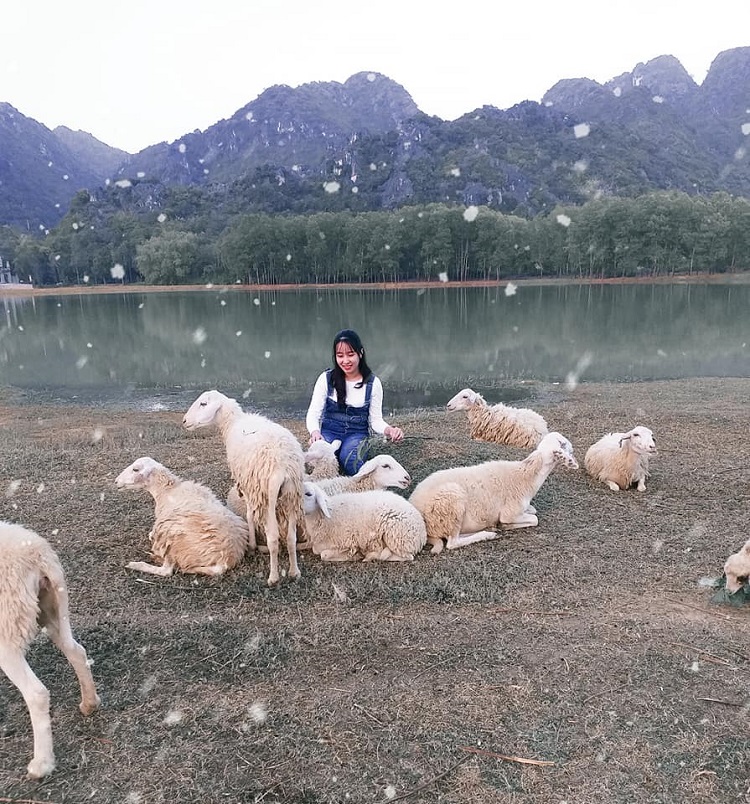 Đồng Cừu Gia Hưng Ninh Bình